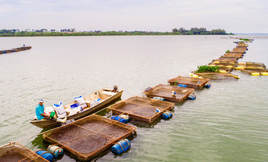 Perto de rio e áreas rurais, câmpus do Noroeste da UEM comemora 35 anos de pesquisas
