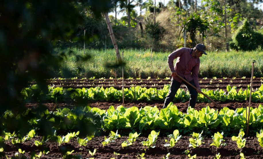 Perto de rio e áreas rurais, câmpus do Noroeste da UEM comemora 35 anos de pesquisas