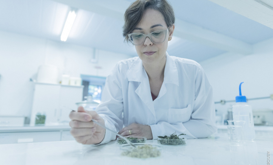 Mais da metade da pesquisa praticada na UEM é liderada por mulheres