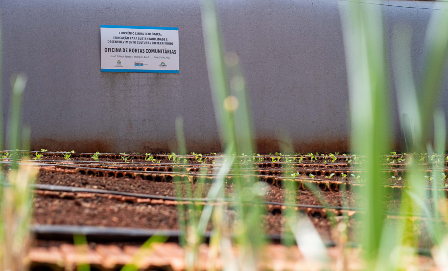 Robótica e tecnologia: estudantes da rede estadual estão conectados com inovação