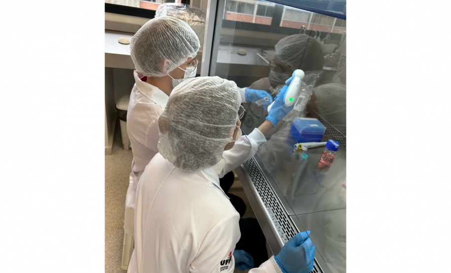 Projeto apoiado pela Fundação Araucária estuda alternativa para produção de colágeno de jumento