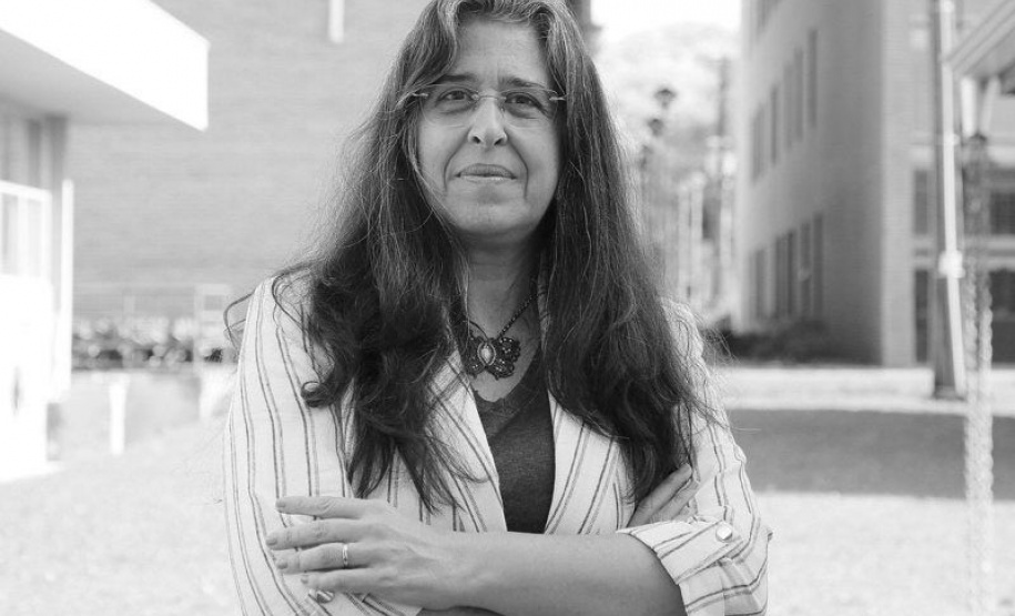 Projeto apoiado pela Fundação Araucária estuda alternativa para produção de colágeno de jumento