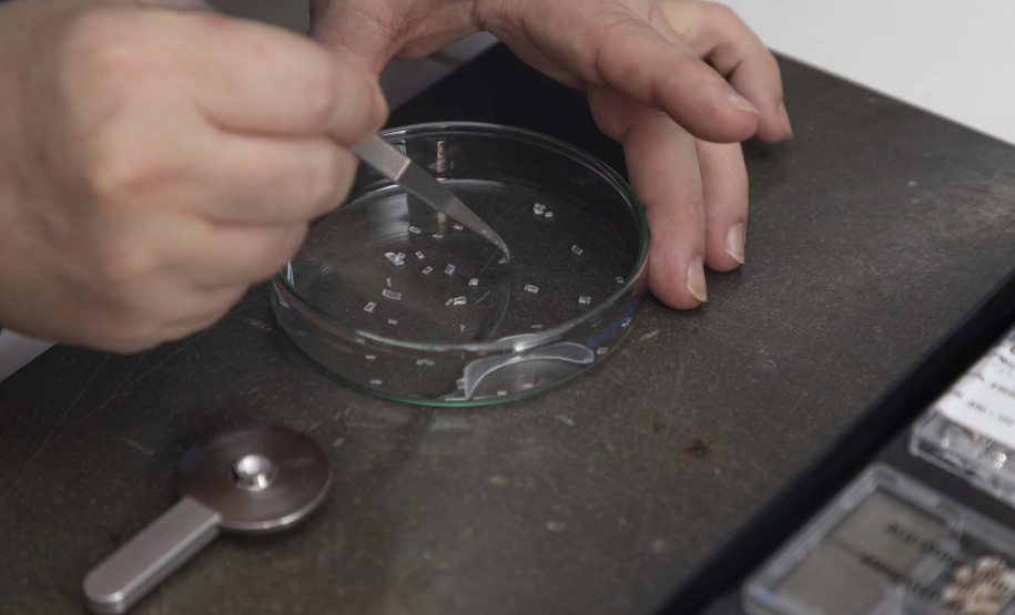 Tecpar protege saúde do consumidor com análise de embalagens de medicamentos