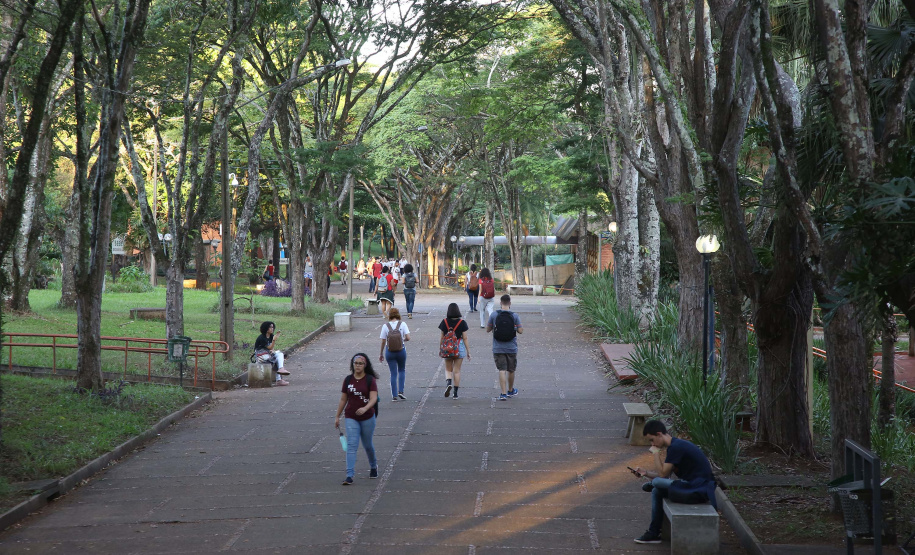 Matrículas do Aprova Paraná Universidades começam nesta quarta-feira