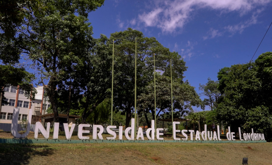 Mulheres são maioria com curso superior no Paraná e representam 58% dos graduados