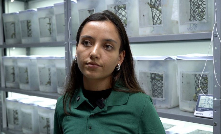 Mulheres são maioria com curso superior no Paraná e representam 58% dos graduados