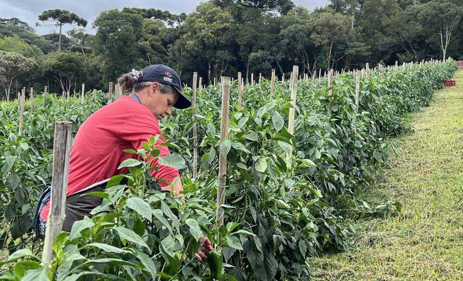 Jornada Empreendedora incentiva agricultura sustentável na região do Miringuava
