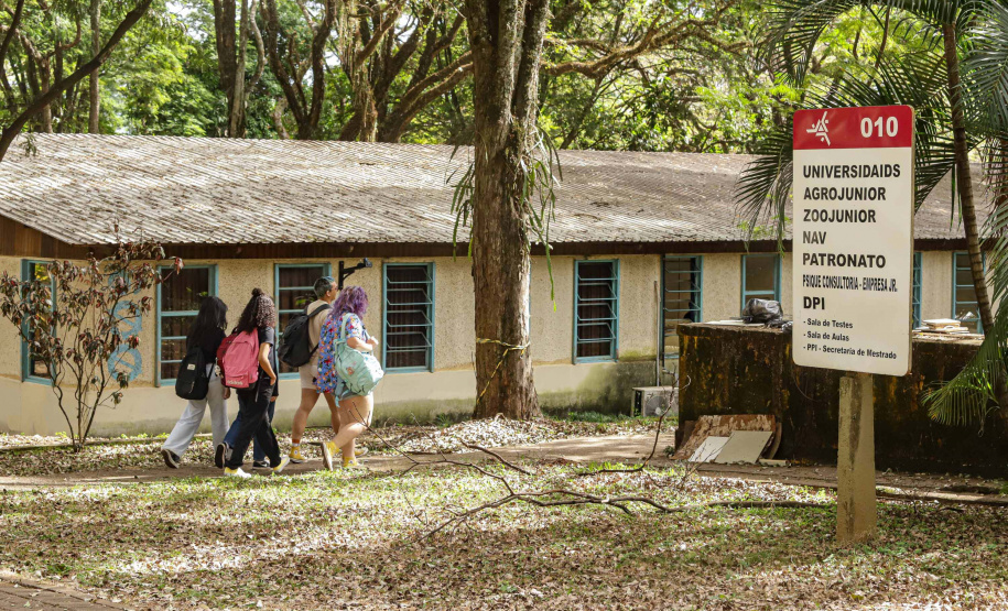 Paraná é o 2º estado com maior proporção de jovens matriculados no ensino superior