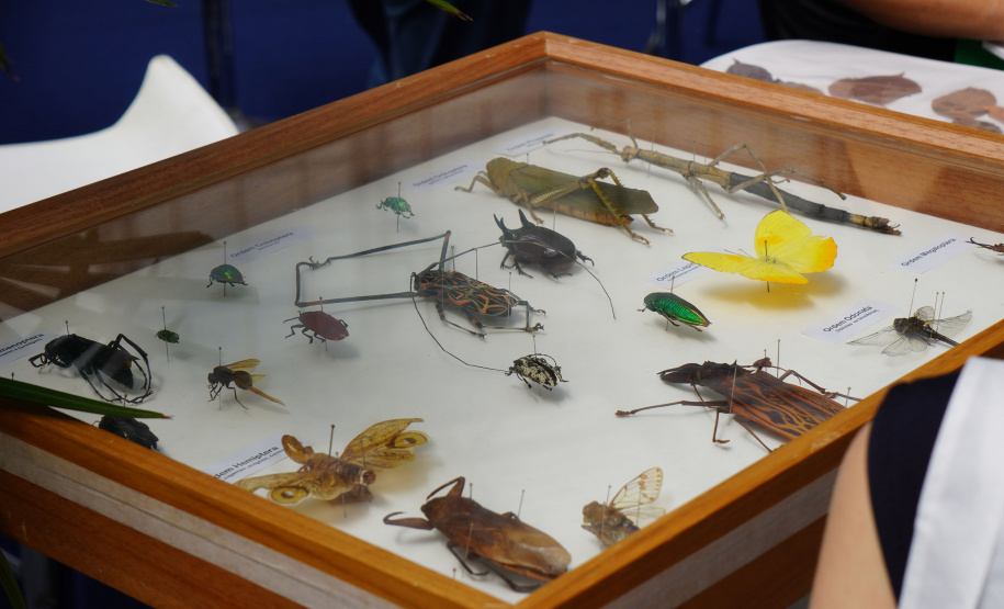 Governo destaca inovação em geoprocessamento para cidades inteligentes