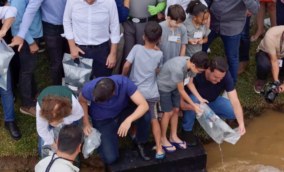 Estado repovoa Parque Passaúna em Curitiba com meio milhão de peixes nativos