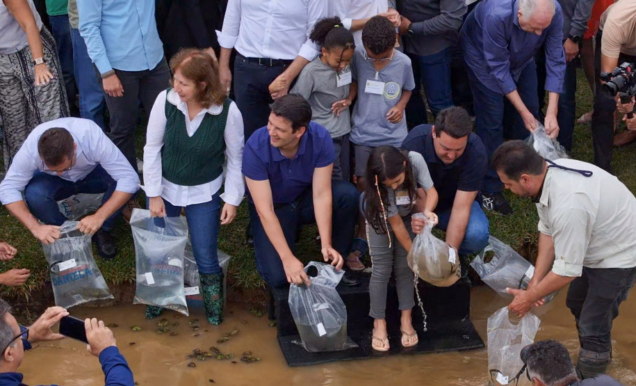 Estado repovoa Parque Passaúna em Curitiba com meio milhão de peixes nativos