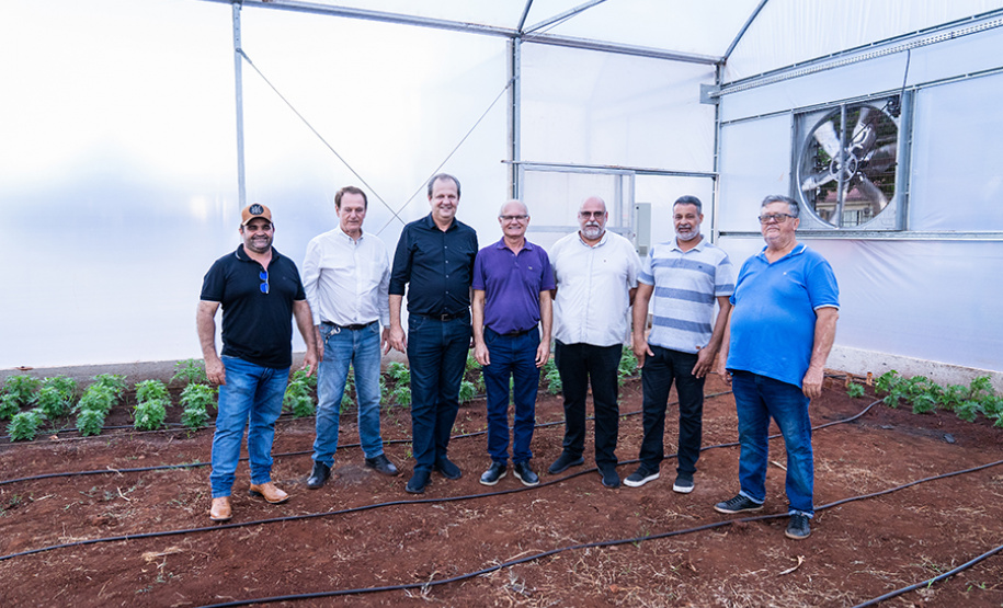 Nova estufa climatizada da UENP traz ganho acadêmico e ajuda pequenos produtores
