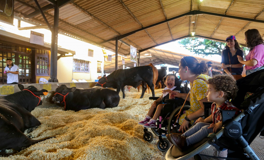 Governo do Paraná apresenta inovação e tecnologia aplicada ao agro na ExpoLondrina 2025
