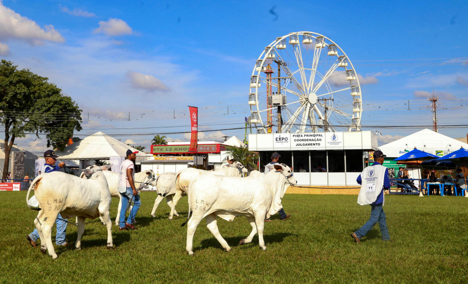 Governo do Paraná apresenta inovação e tecnologia aplicada ao agro na ExpoLondrina 2025