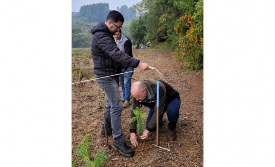 Imbituvão: projeto da Unicentro ajuda a mapear riquezas e potenciais florestais do Paraná