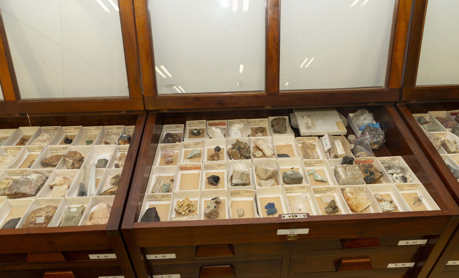 Acervo histórico do Tecpar é incorporado pelo Museu de Ciências Naturais da UEPG