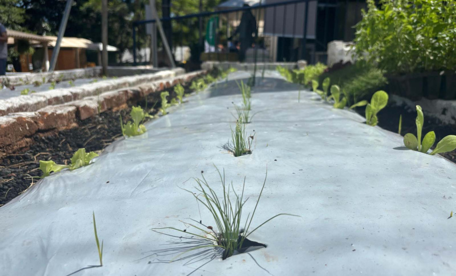 Via Rural Smart Farm reúne 19 mil pessoas no primeiro fim de semana da ExpoLondrina