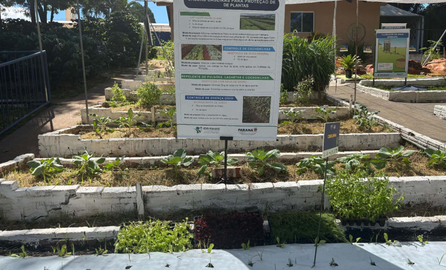 Via Rural Smart Farm reúne 19 mil pessoas no primeiro fim de semana da ExpoLondrina