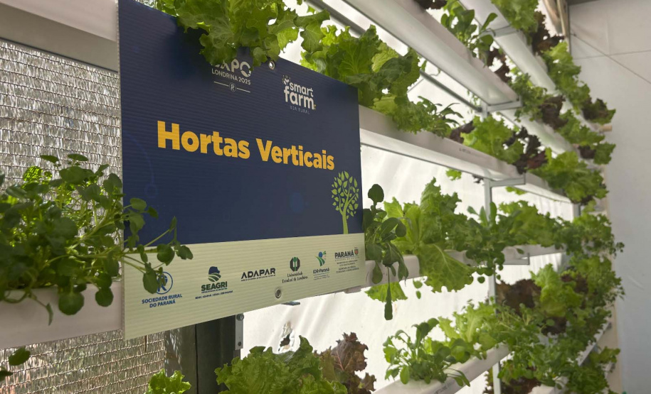 Via Rural Smart Farm reúne 19 mil pessoas no primeiro fim de semana da ExpoLondrina