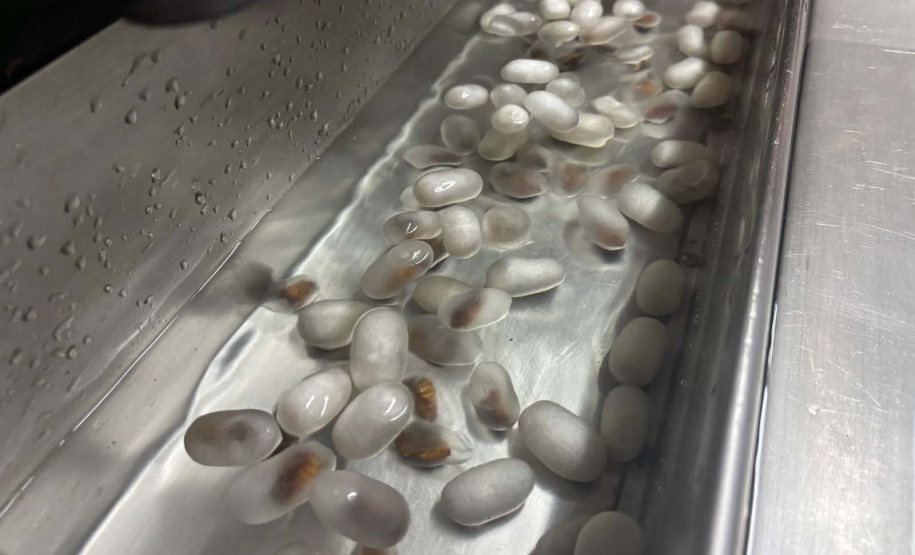 Via Rural Smart Farm reúne 19 mil pessoas no primeiro fim de semana da ExpoLondrina