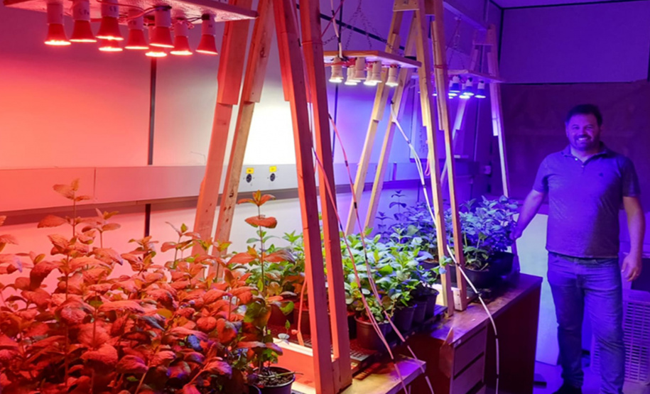 Com apoio do Tecpar, pesquisa propõe soluções sustentáveis para a agricultura