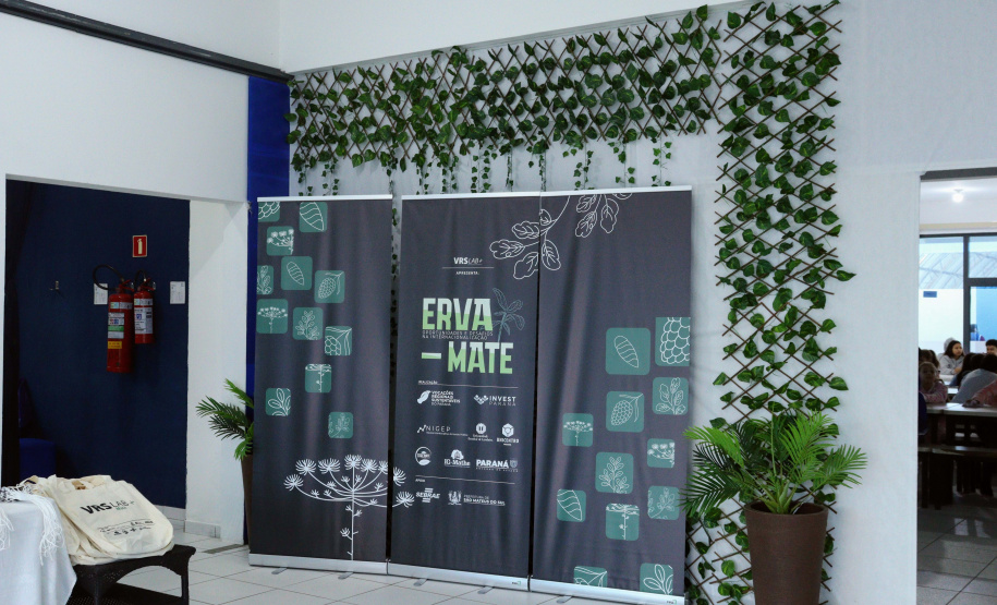 Paraná avança na internacionalização da erva-mate com novas parcerias