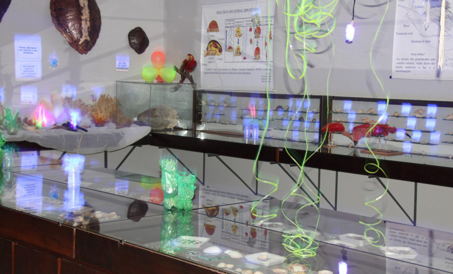 Museu de Ciências Naturais da Unicentro promove “Noite Luminescente” com oficinas