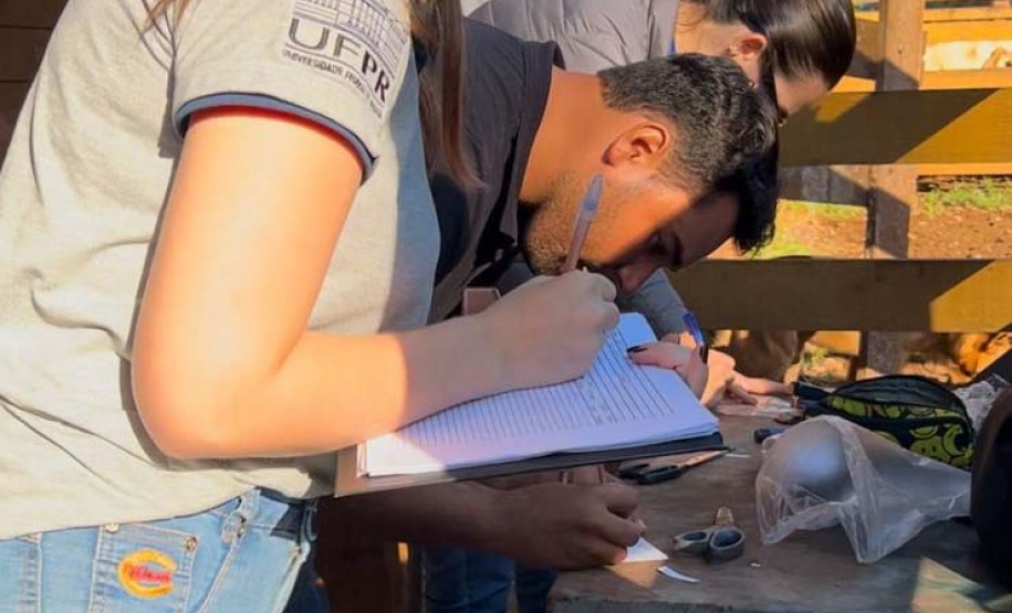 Melhoramento genético da raça Purunã deve ampliar oferta e elevar ainda mais qualidade da carne