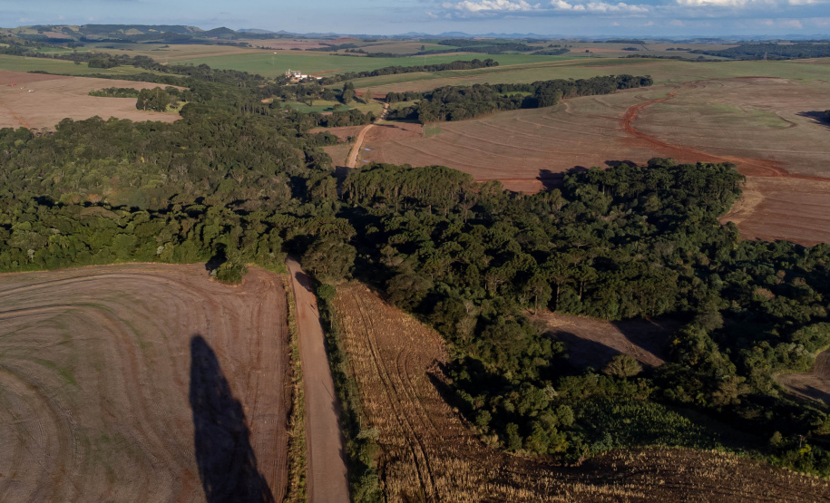 Estado autoriza início das obras da ligação asfáltica da PR-239 entre Mato Rico e Roncador