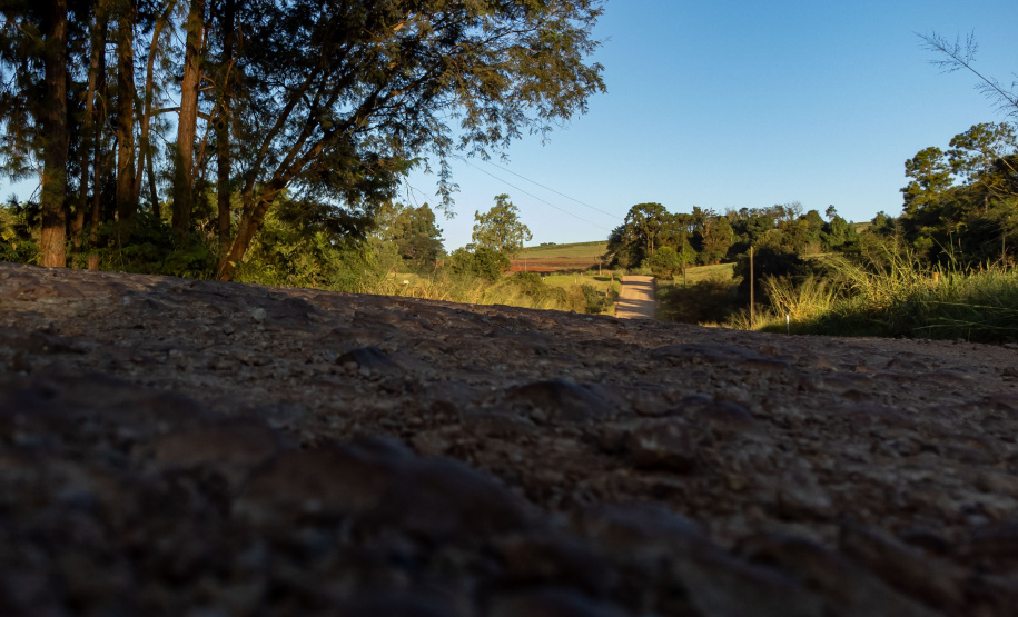 Estado autoriza início das obras da ligação asfáltica da PR-239 entre Mato Rico e Roncador