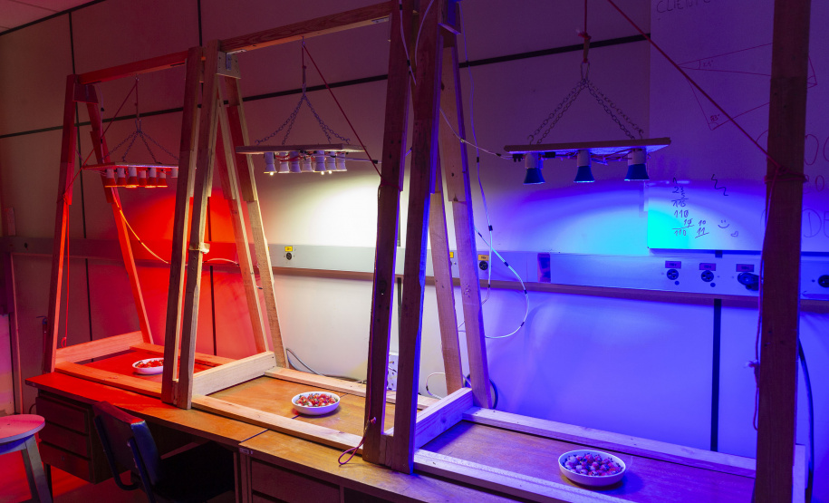 Com apoio do Tecpar, pesquisa propõe soluções sustentáveis para a agricultura