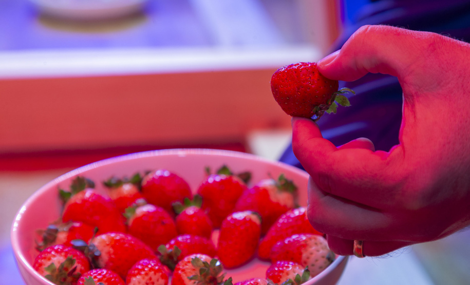 Com apoio do Tecpar, pesquisa propõe soluções sustentáveis para a agricultura