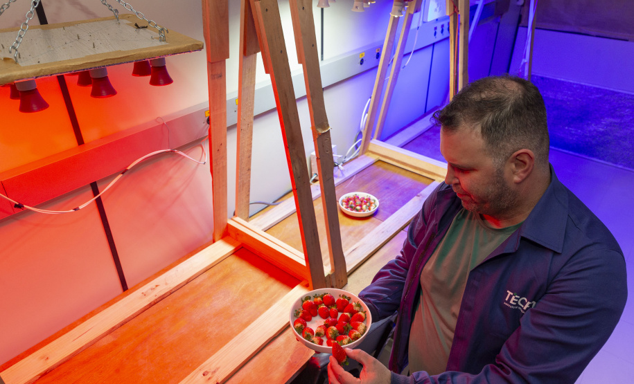 Com apoio do Tecpar, pesquisa propõe soluções sustentáveis para a agricultura