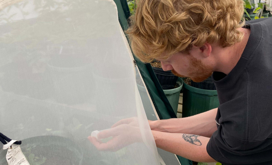 Ganhando o Mundo da Ciência amplia fronteiras para docentes e universitários paranaenses