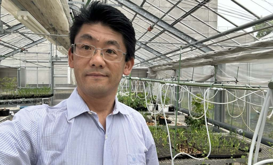 Ganhando o Mundo da Ciência amplia fronteiras para docentes e universitários paranaenses