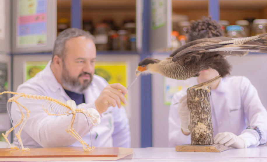 Pesquisa e ensino: Laboratório de Zoologia da UEPG tem mais de mil animais conservados