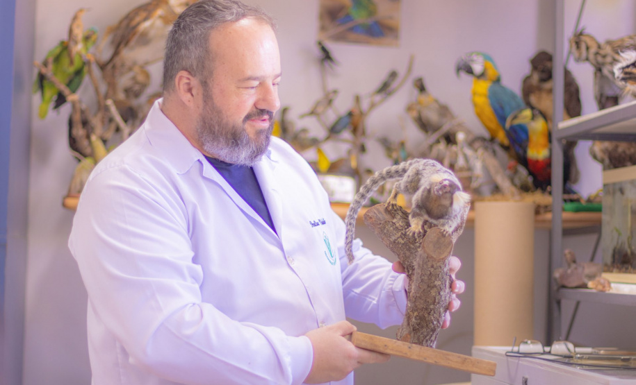 Pesquisa e ensino: Laboratório de Zoologia da UEPG tem mais de mil animais conservados