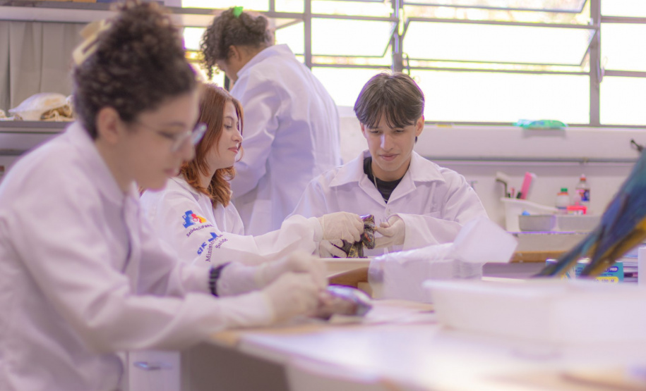 Pesquisa e ensino: Laboratório de Zoologia da UEPG tem mais de mil animais conservados