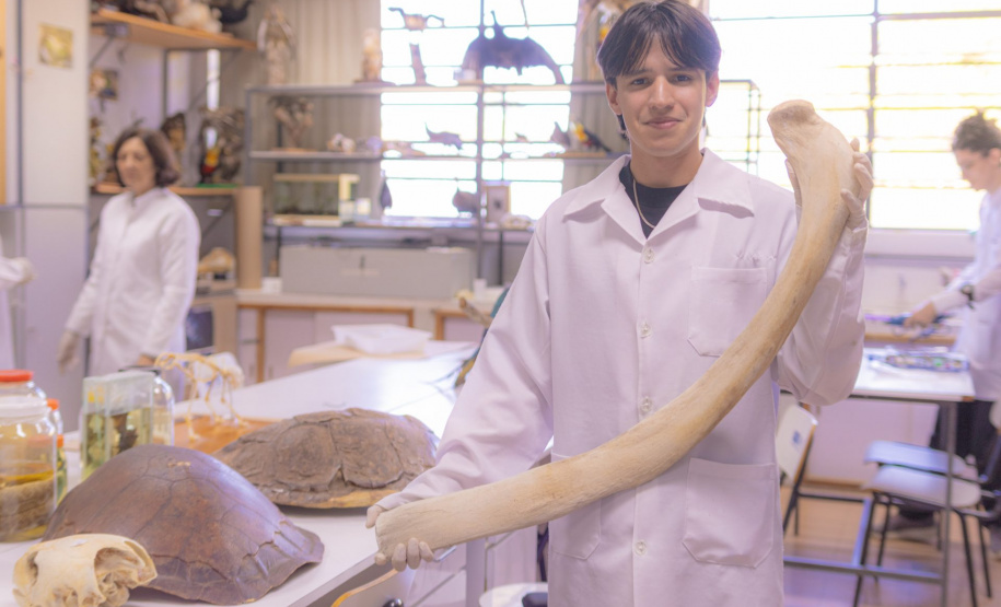 Pesquisa e ensino: Laboratório de Zoologia da UEPG tem mais de mil animais conservados