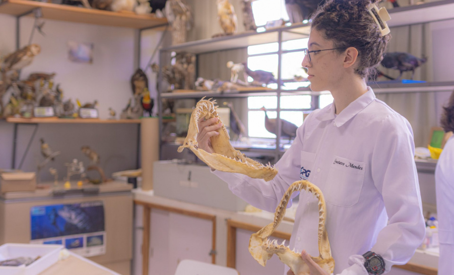 Pesquisa e ensino: Laboratório de Zoologia da UEPG tem mais de mil animais conservados