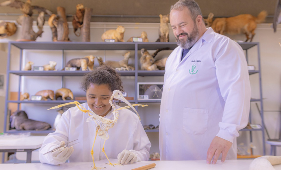 Pesquisa e ensino: Laboratório de Zoologia da UEPG tem mais de mil animais conservados