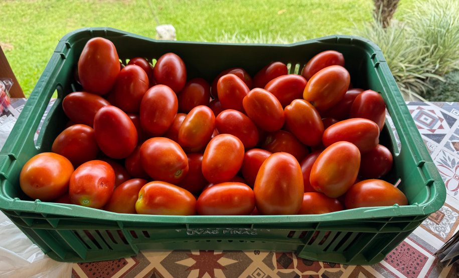 Com auxílio do Tecpar, Paraná terá nova tecnologia europeia para sistemas agrícolas