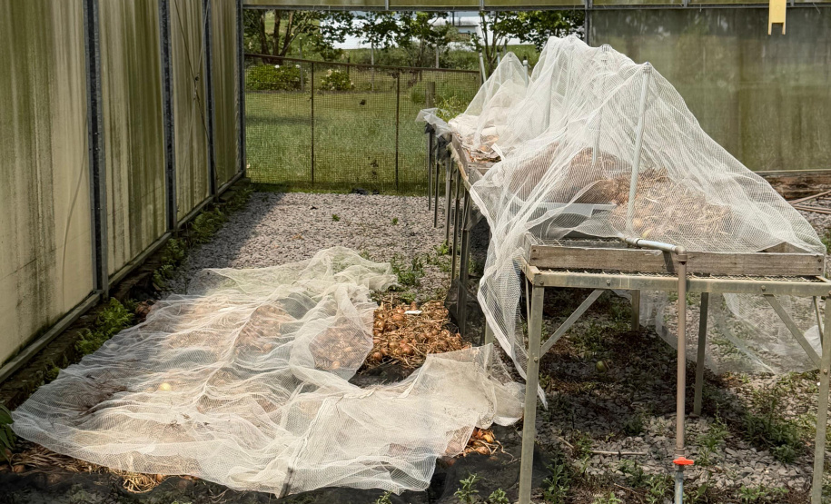 Com auxílio do Tecpar, Paraná terá nova tecnologia europeia para sistemas agrícolas