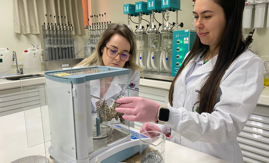 Paraná concorre a prêmio nacional com programa que integra universidades e mercado