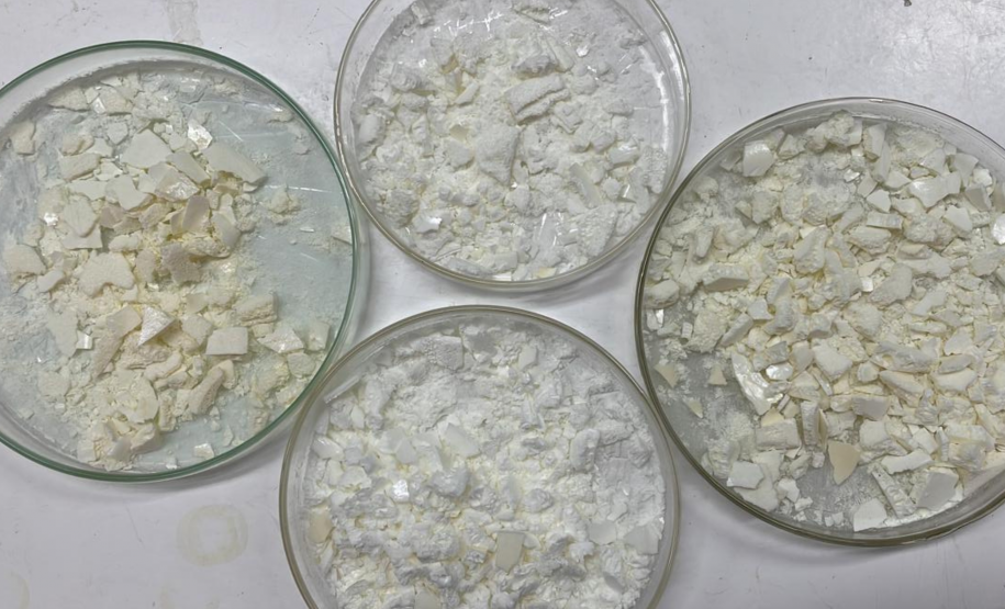 Paraná concorre a prêmio nacional com programa que integra universidades e mercado