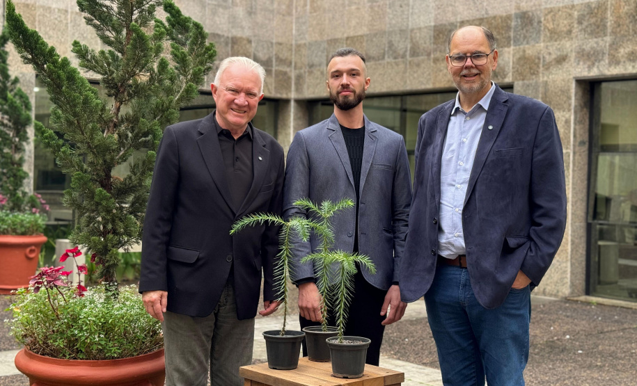 Fundação Araucária recebe três bonsais da árvore símbolo do Paraná