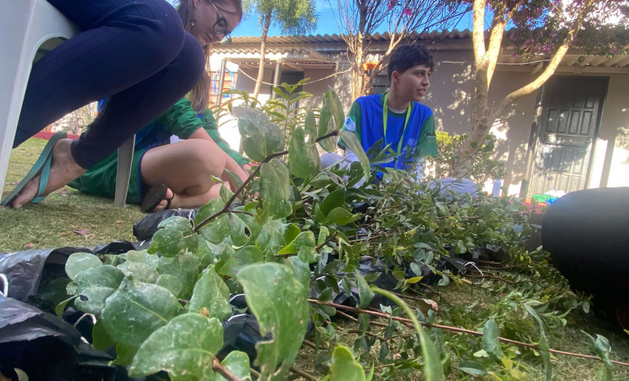 Ações de turismo, saúde e preparação de mudas marcam o sábado da Operação Rodon