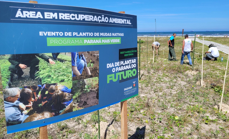 IAT estabelece parceria com a UFPR Litoral para projeto de conservação da restinga