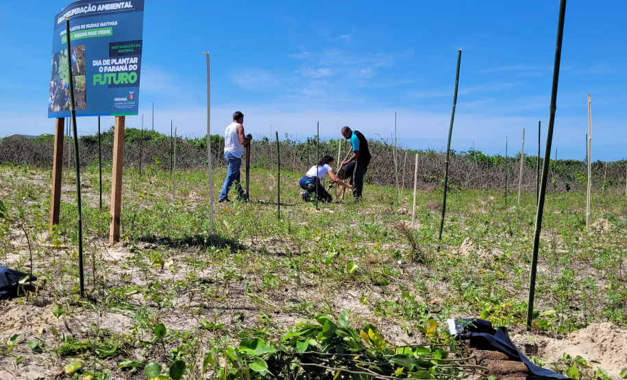 IAT estabelece parceria com a UFPR Litoral para projeto de conservação da restinga