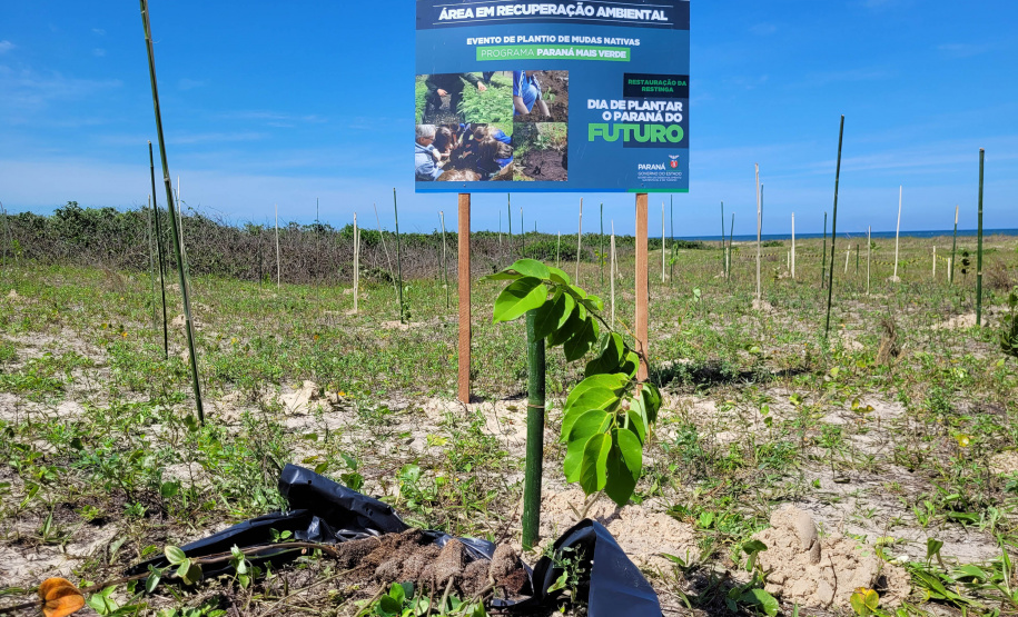 IAT estabelece parceria com a UFPR Litoral para projeto de conservação da restinga